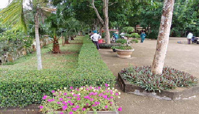 Công đoàn xã Xuân Bình, huyện Như Xuân với mô hình xây dựng “Công sở xanh - sạch - đẹp”