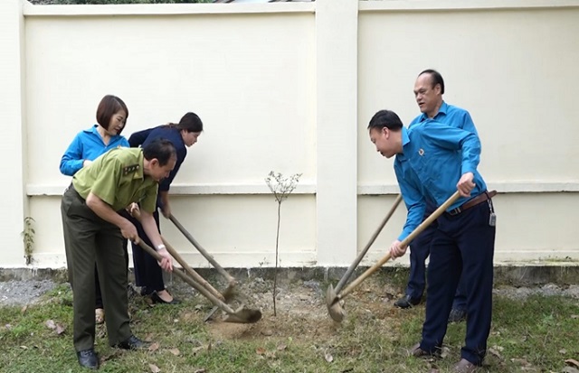 LĐLĐ huyện Như Xuân phát động “Tết trồng cây đời đời nhớ ơn Bác Hồ” xuân Giáp Thìn 2024 3.jpg