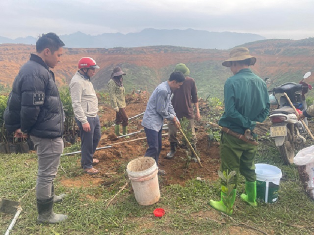 Công đoàn cơ sở xã Thanh Hoà phối hợp với chính quyền đồng cấp ra quân đào hố trồng cây mắc ca giúp các hộ gia đình khó khăn về nhân lực trên địa bàn_ 2.jpg