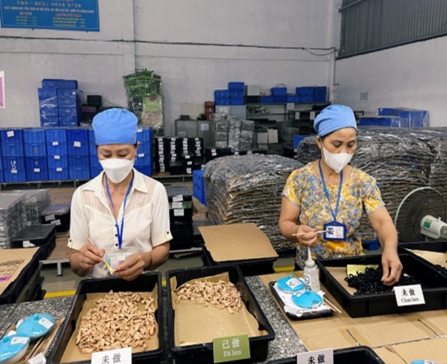 Đẩy mạnh công tác kiểm tra, giám sát công đoàn