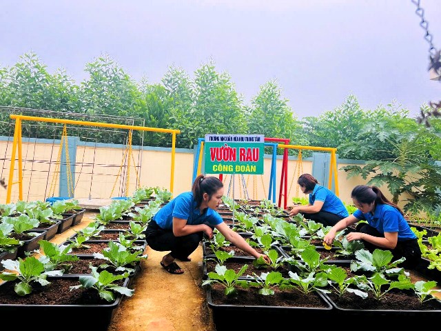 Công đoàn Trường Mầm Non Xuân Hòa (Như Xuân) góp sức xây dựng "Vườn rau sạch, an toàn cho bé"
