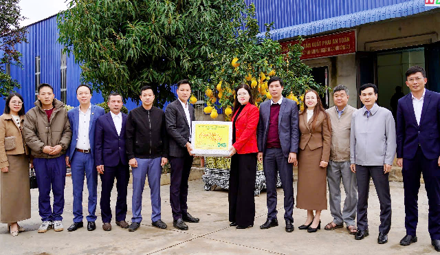 Lãnh đạo huyện Như Xuân thăm, động viên Công ty Cổ phần đầu tư sản xuất và Thương mại LHD ra quân sản xuất đầu năm 